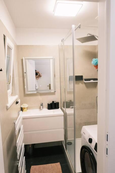 Pink Prater Apartment Виена Екстериор снимка